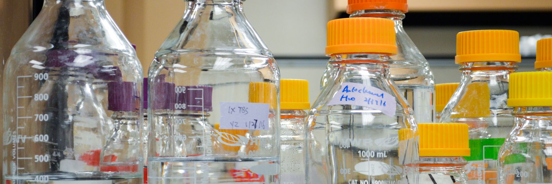 Bottles in a science lab.